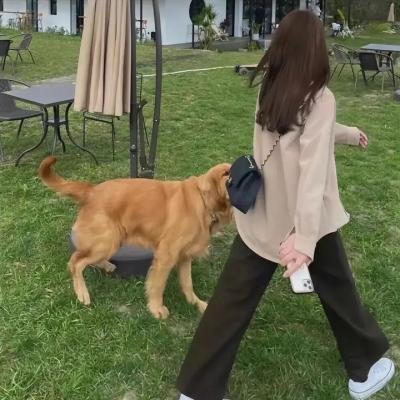 无证之罪